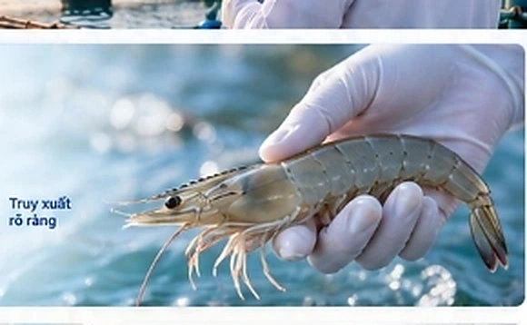 Kiểm định tôm tươi sống tiêu chuẩn BAP